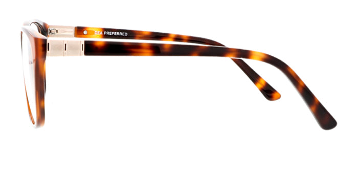 Fano (Tortoise)