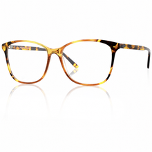 Load image into Gallery viewer, Bari (Brown Tortoise)