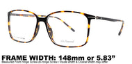 Impact (Tortoise)